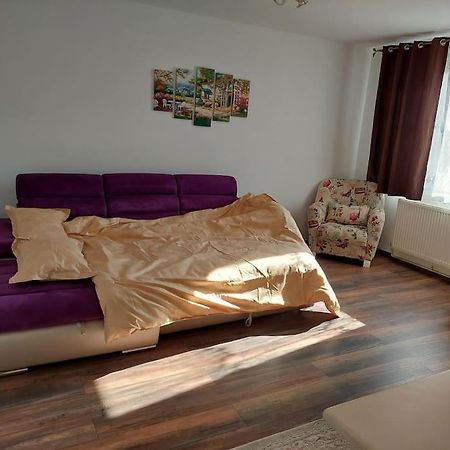 Appartement Apartament In Sighetu Marmaţiei Extérieur photo