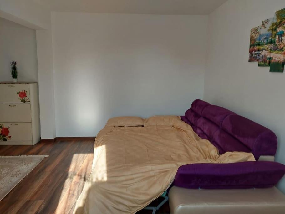 Appartement Apartament In Sighetu Marmaţiei Extérieur photo