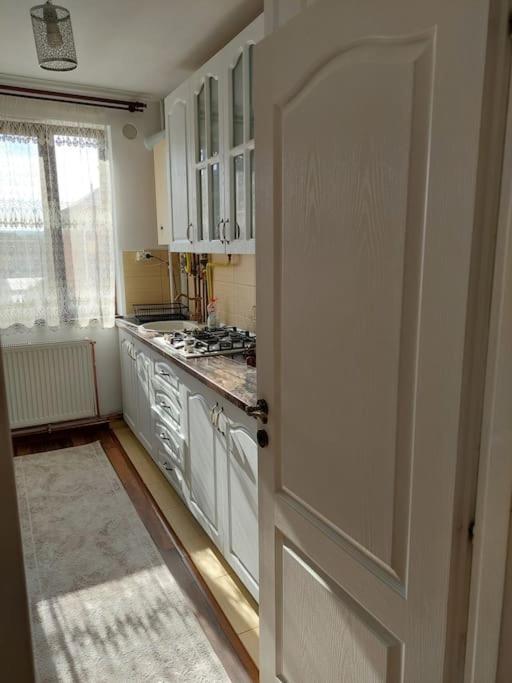 Appartement Apartament In Sighetu Marmaţiei Extérieur photo