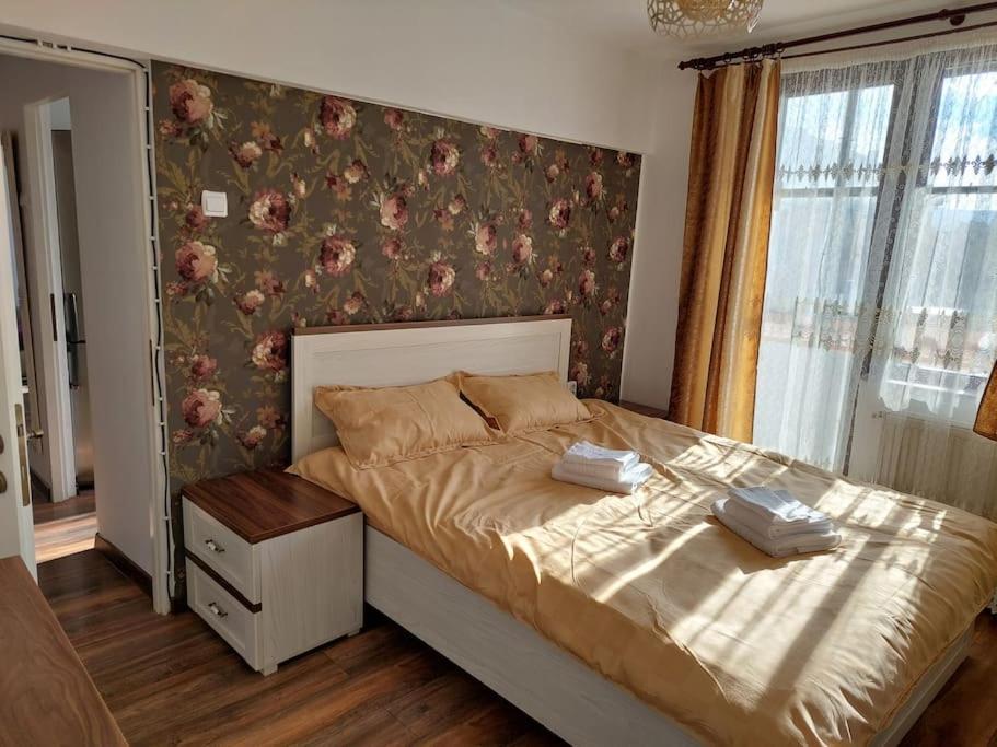 Appartement Apartament In Sighetu Marmaţiei Extérieur photo