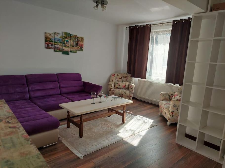 Appartement Apartament In Sighetu Marmaţiei Extérieur photo