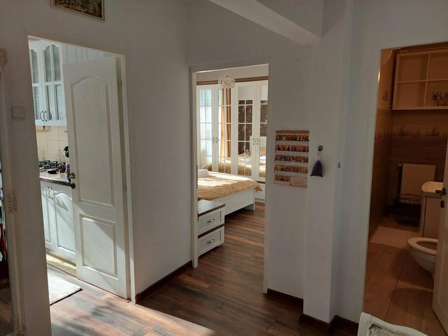 Appartement Apartament In Sighetu Marmaţiei Extérieur photo
