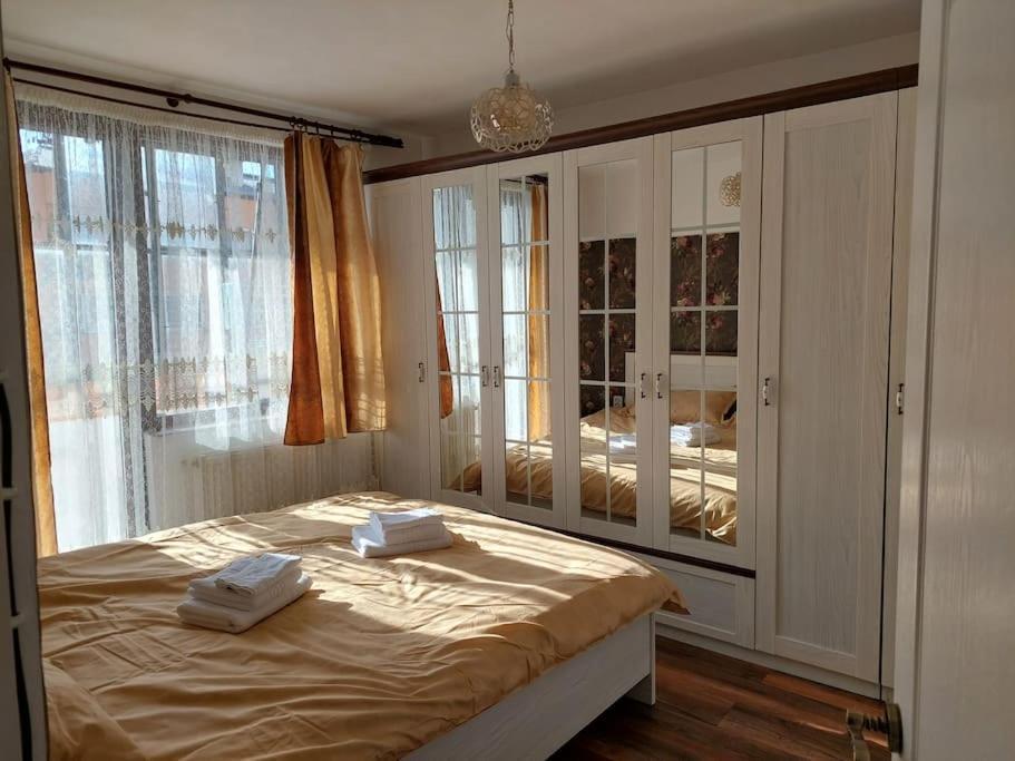 Appartement Apartament In Sighetu Marmaţiei Extérieur photo
