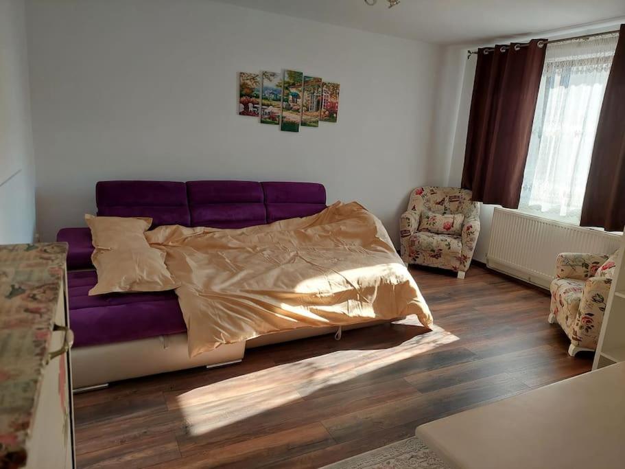 Appartement Apartament In Sighetu Marmaţiei Extérieur photo